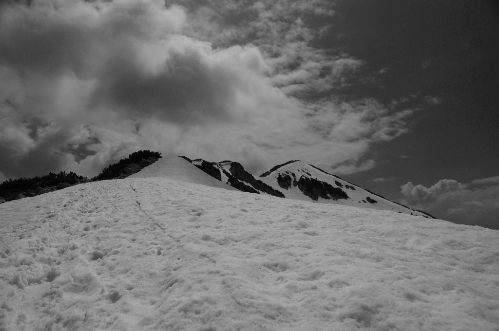 Schneefeld vor dem Vorgipfel