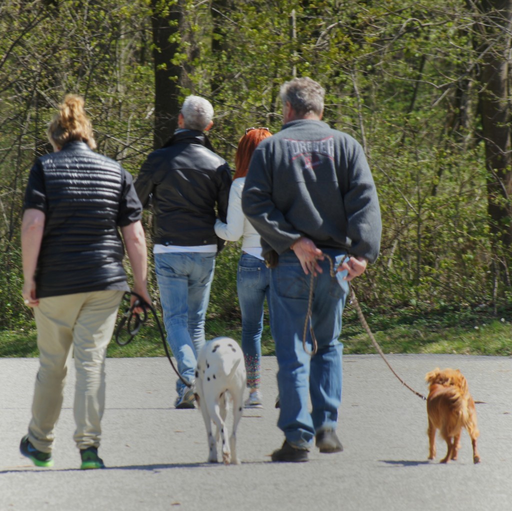 Zweibeiner Lustwandeln natürlich nicht angeleint. Räder müssen ganz draußen bleiben.