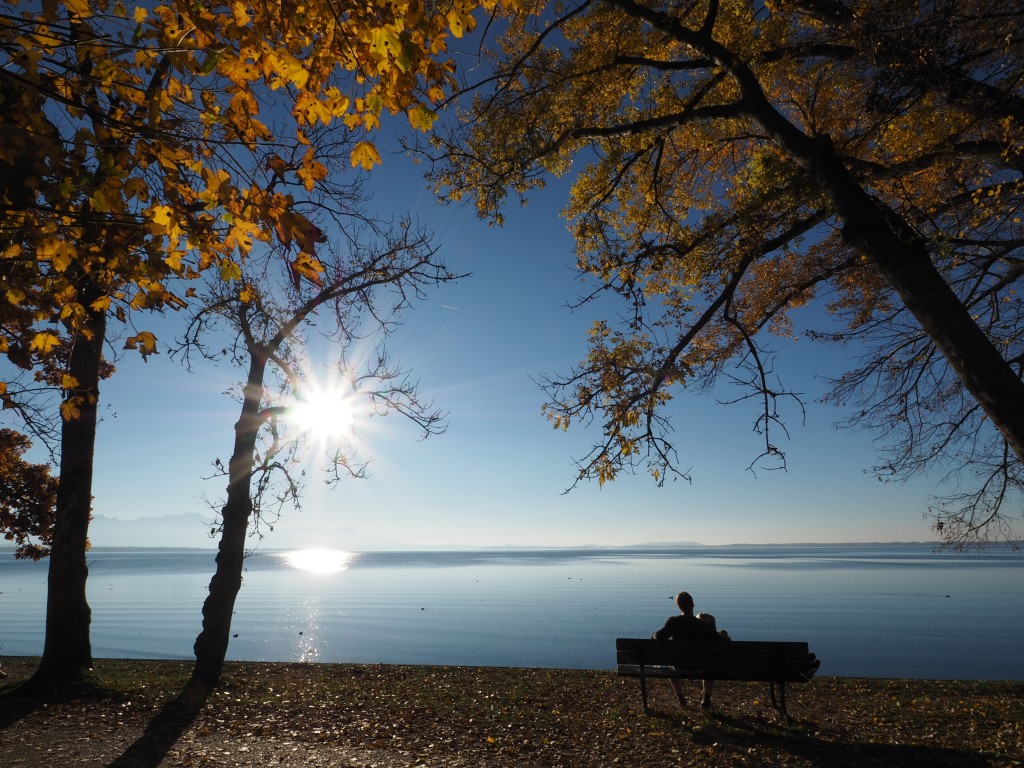 1.11. am Chiemsee von Chieming aus, mit OM-D EM5 MII, 9-18mm.