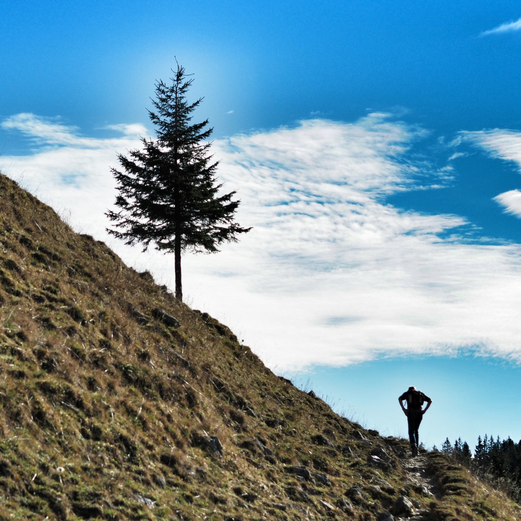 Immer in der Sonne: Aufstieg zum Taubenstein.