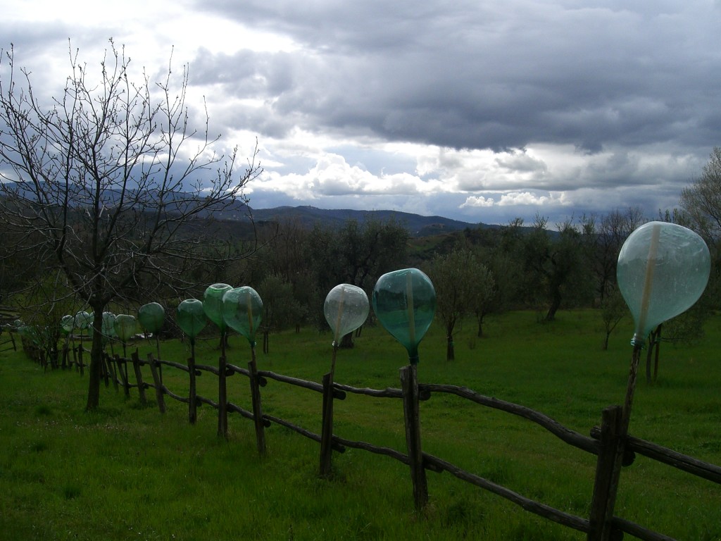 Eingebettet in die toskanische Landschaft, nicht klar, ob Kunst oder Alltag am Zaun.