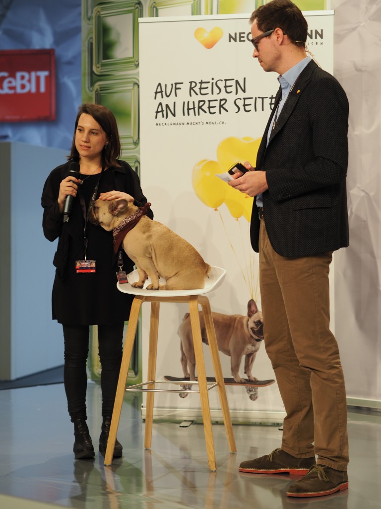 Der Mops als Influencer für Neckermann mit Frauchen.