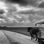 Baltrum Nordsee