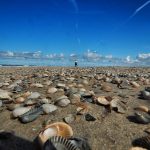 Baltrum Nordsee Strand