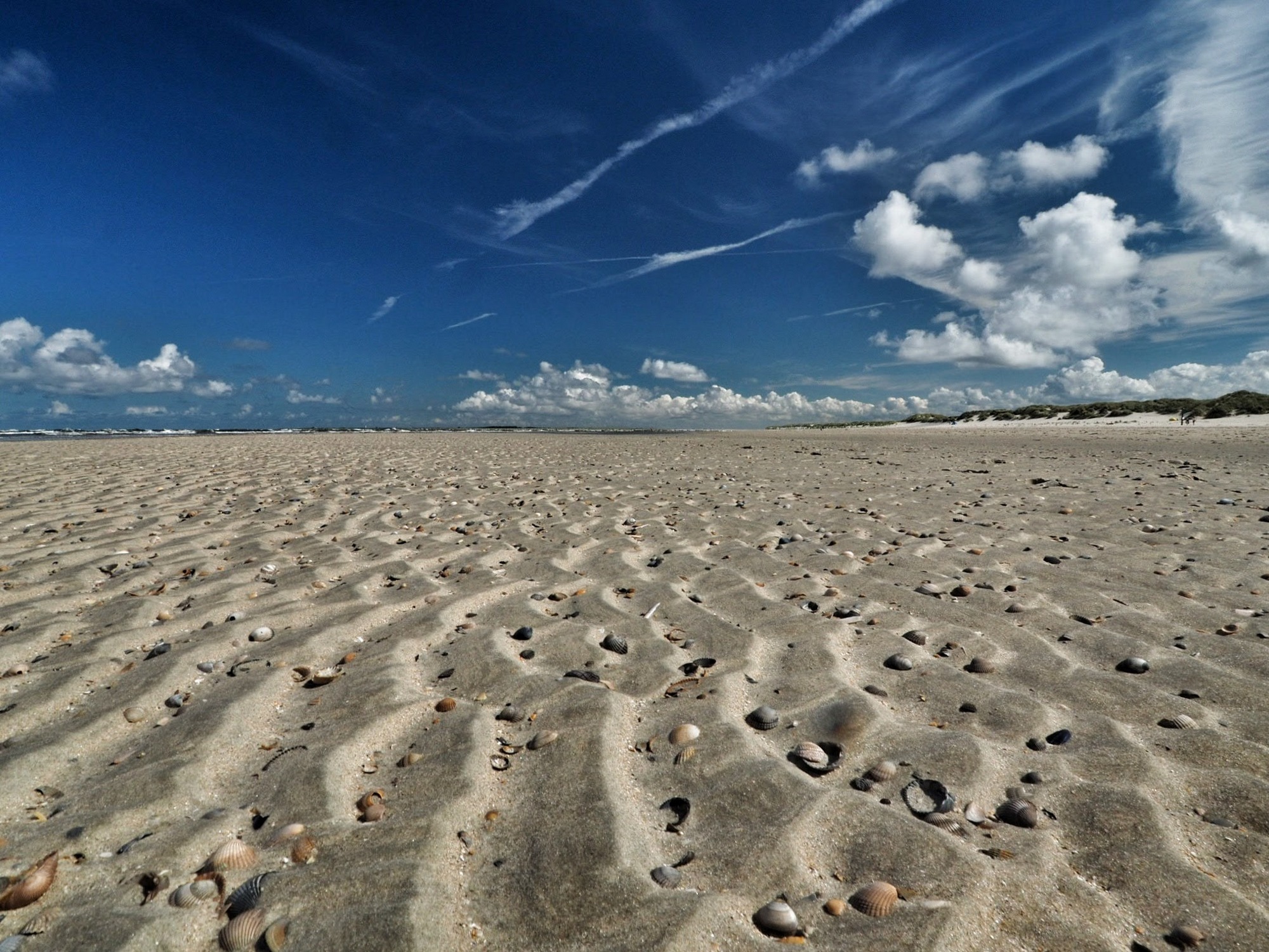 Baltrum Nordsee Wattenmeer Strand