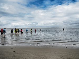 Baltrum Nordsee Ostfriesland Wattenmeer