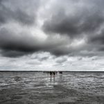 Baltrum Nordsee Ostfriesland Wattenmeer