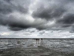 Baltrum Nordsee Ostfriesland Wattenmeer