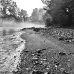 Am Ufer Traun bei der Panzerstraße in Traunstein.