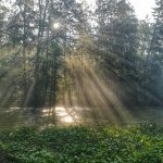 Sonne durchbricht Nebel über der Traun.