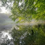 Altwasser der Traun beim Morgenlauf um halb Acht.