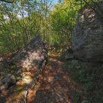 Alte Wege herbstlich beschattet, unterwegs von Malcesine nach Cassone am Gardasee