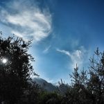 Start an der Strada Panoramica in Malcesine zwischen Oliven unter dem Monte Baldo