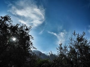 Start an der Strada Panoramica in Malcesine zwischen Oliven unter dem Monte Baldo