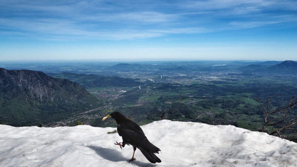 Chiemgau Bad Reichenhall Predigtstuhl