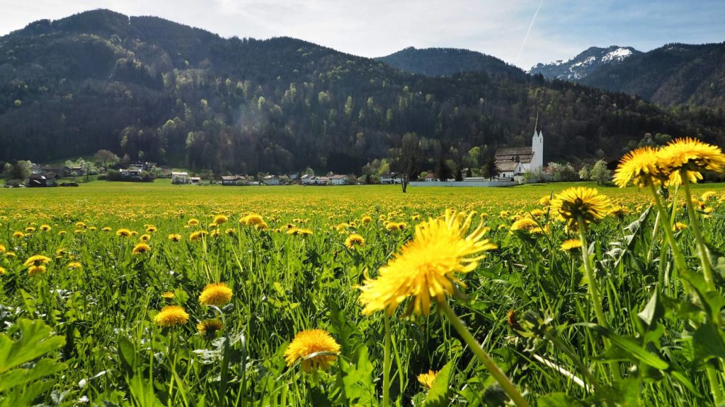 staudach-egerndach im Chiemgau