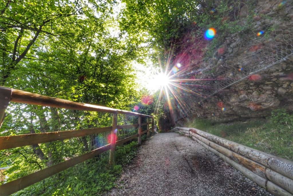 Steil am Hang geht es die Weinleite hinauf. Aufgenommen mit Olympus 7-14mm/2,8 PRO und OM-D E-M5III mit 1/8s. Die Belichtungszeit war ein Versehen, trotzdem entstehen dank Stabilisator noch scharfte Bilder.