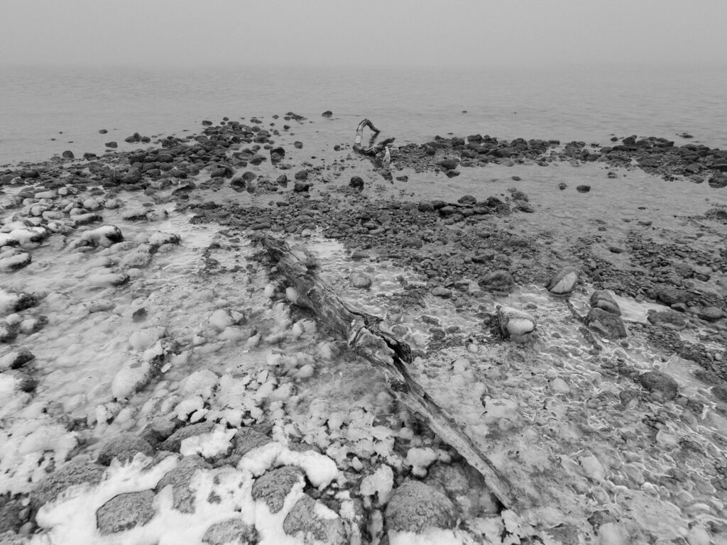 teilweise vereister Kiesstrand mit Treibholz im Vordergrund und Hintergrund.